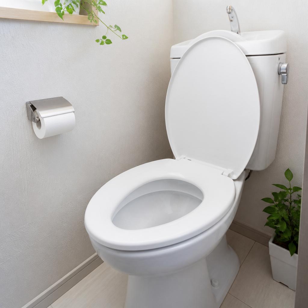川口市のトイレ詰まり、迅速解決！