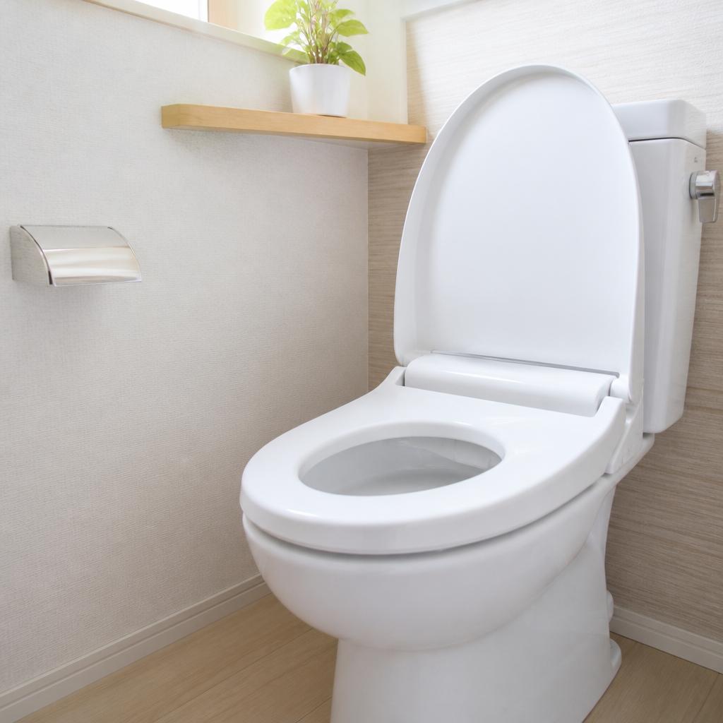 川口市でトイレ詰まりにお困りの方、今すぐご相談を！