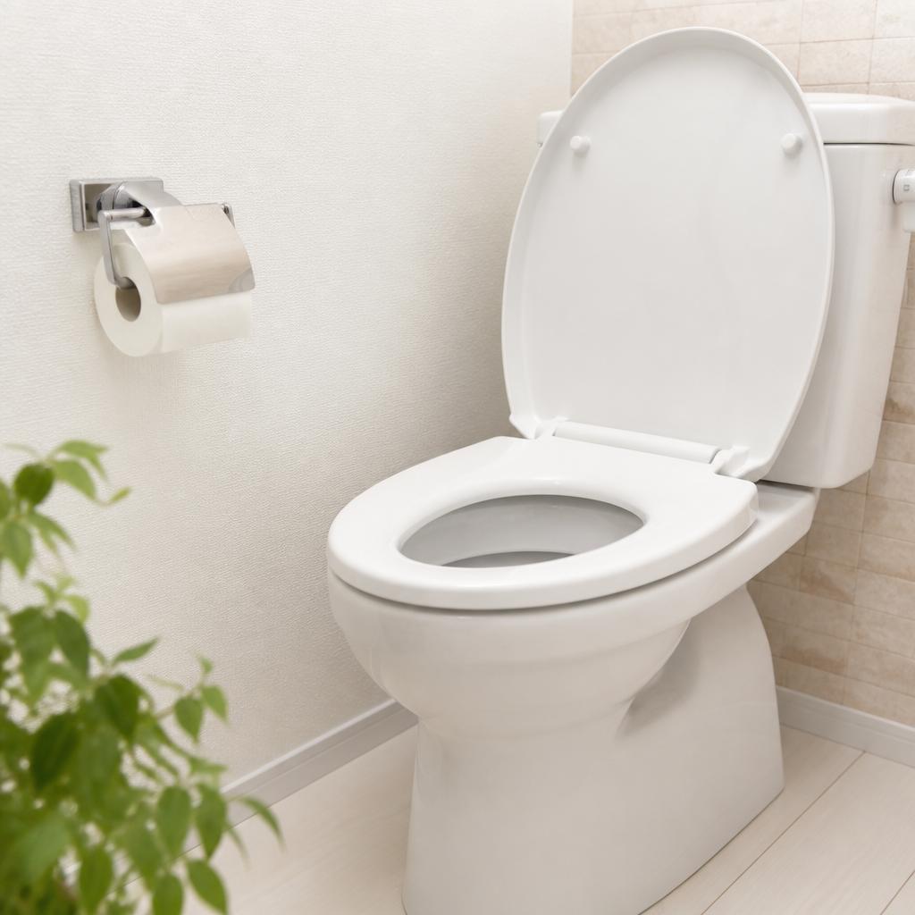 川口市のトイレ詰まり、即日対応！あなたのトイレを救います！